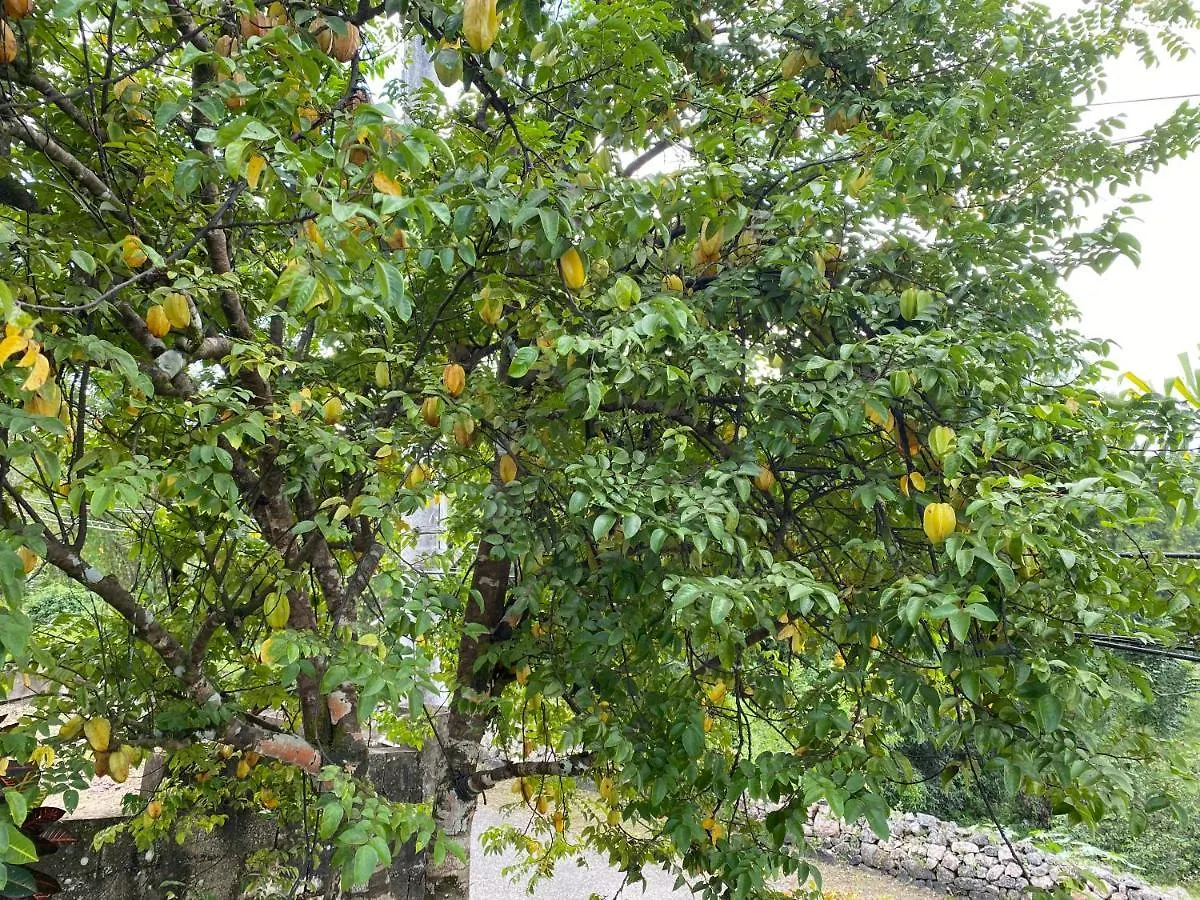 בית נופש Florence Hall L&V Paradise Vacation Home With Pool And Gym